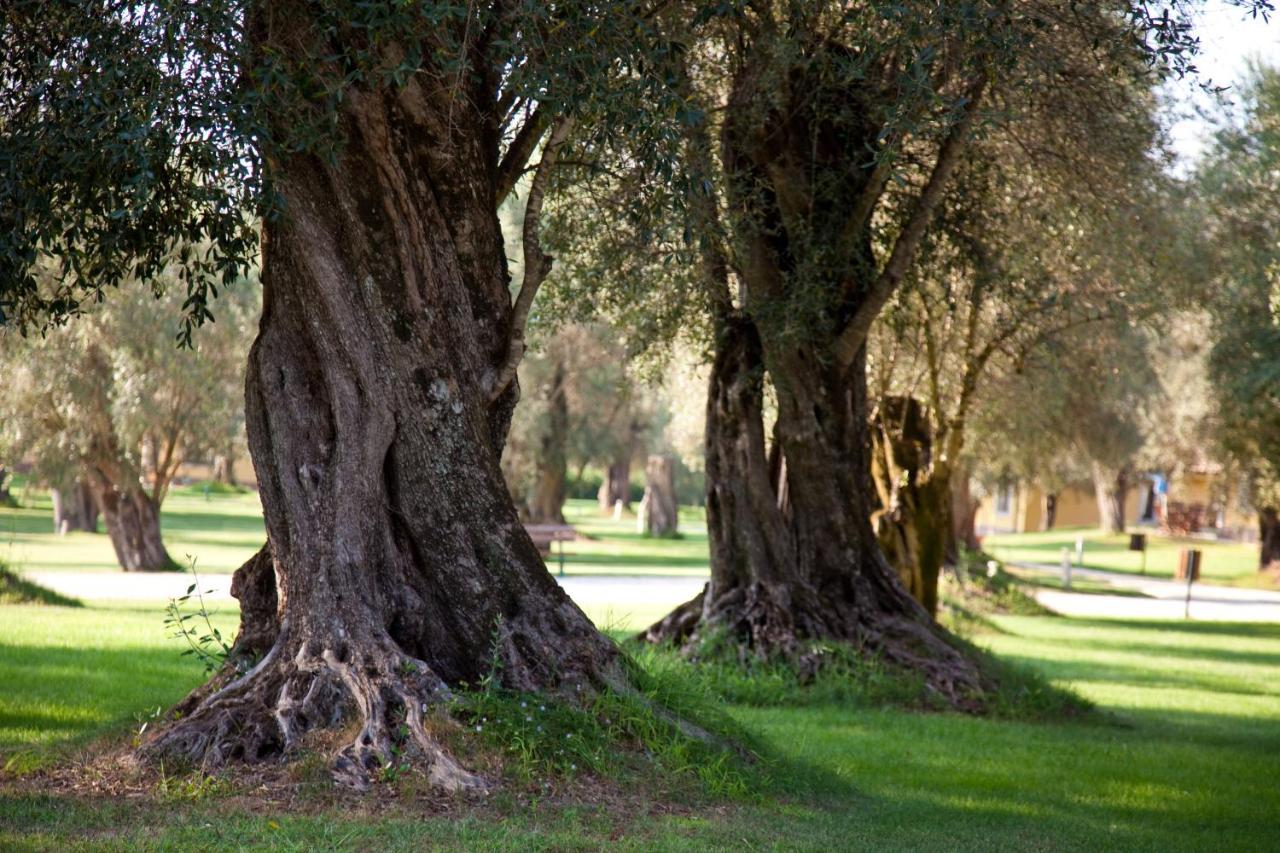 Uliveto Principessa Resort Cittanova  Exteriör bild